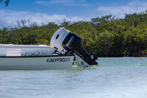 CALYPSO 23cx "Caribbean"