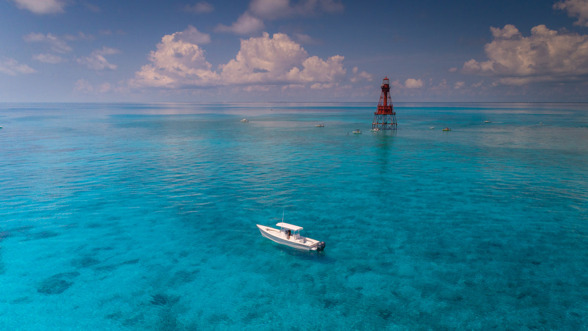 CALYPSO34cx Super Panga