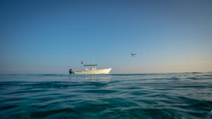 dpi mavic 3 cine drone  2022 CALYPSO34cx with Yamaha 200hp spearfishing for hogs at Pelican Shoal Sugarloaf Key, Florida