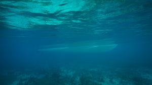 CALYPSO 34cx underwater at Pelican Shoal Sugarloaf Key, Florida