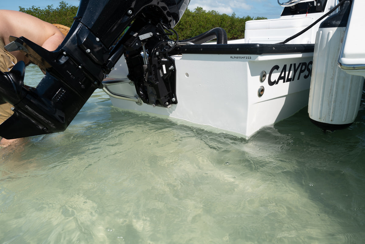 CALYPSO 23cx "Caribe"