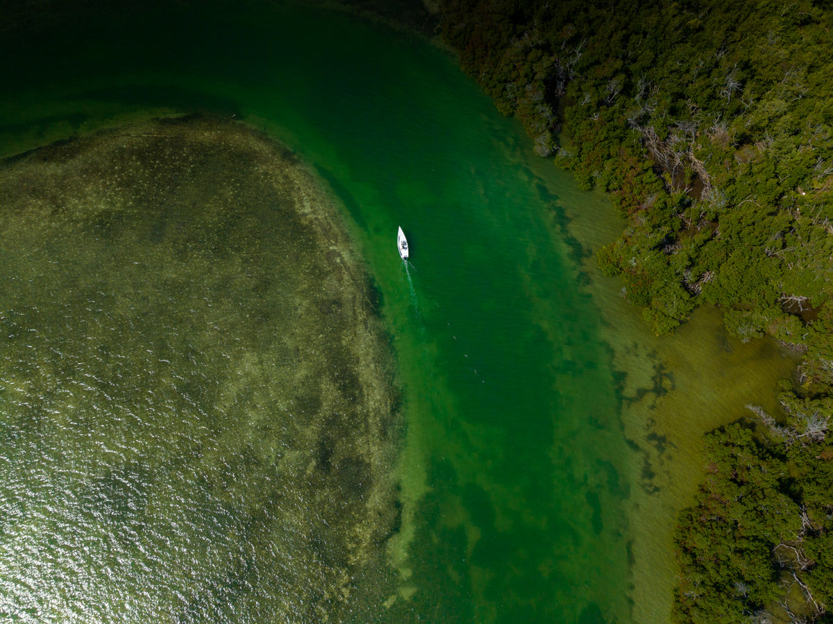 CALYPSO 23cx "Caribe"