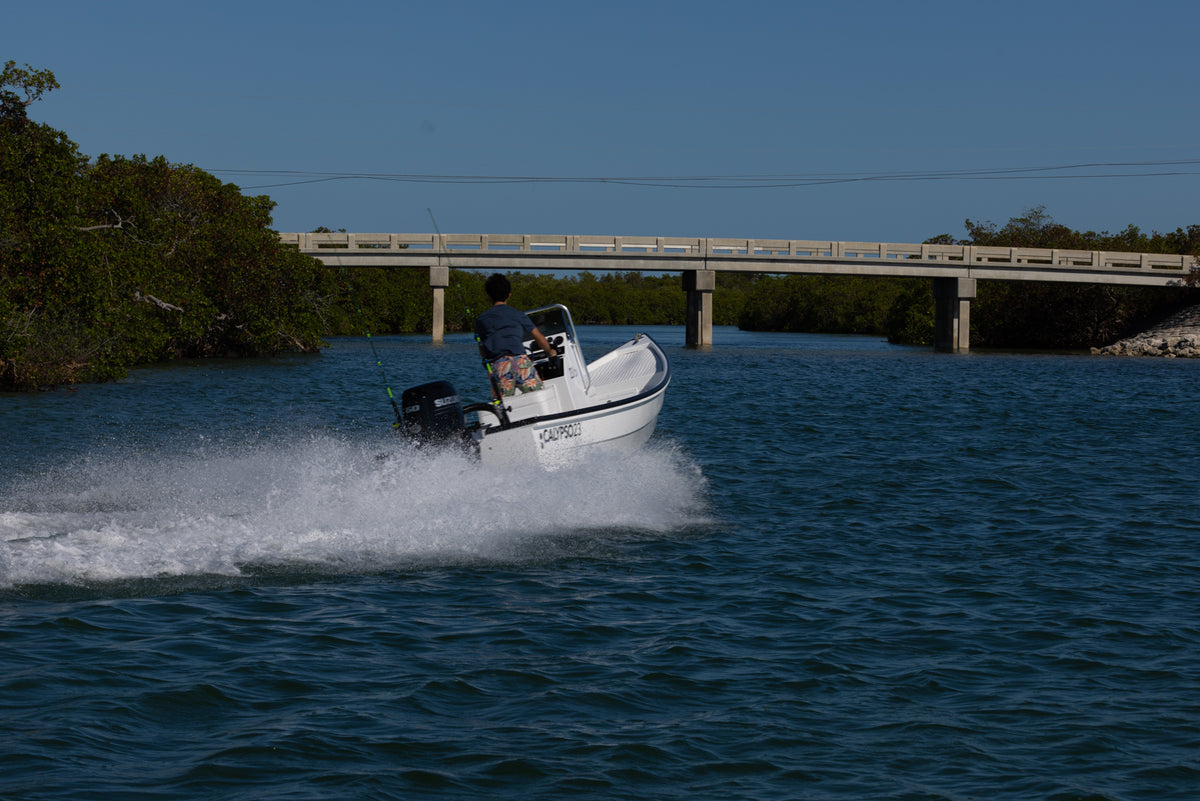 CALYPSO 23cx "Caribe"