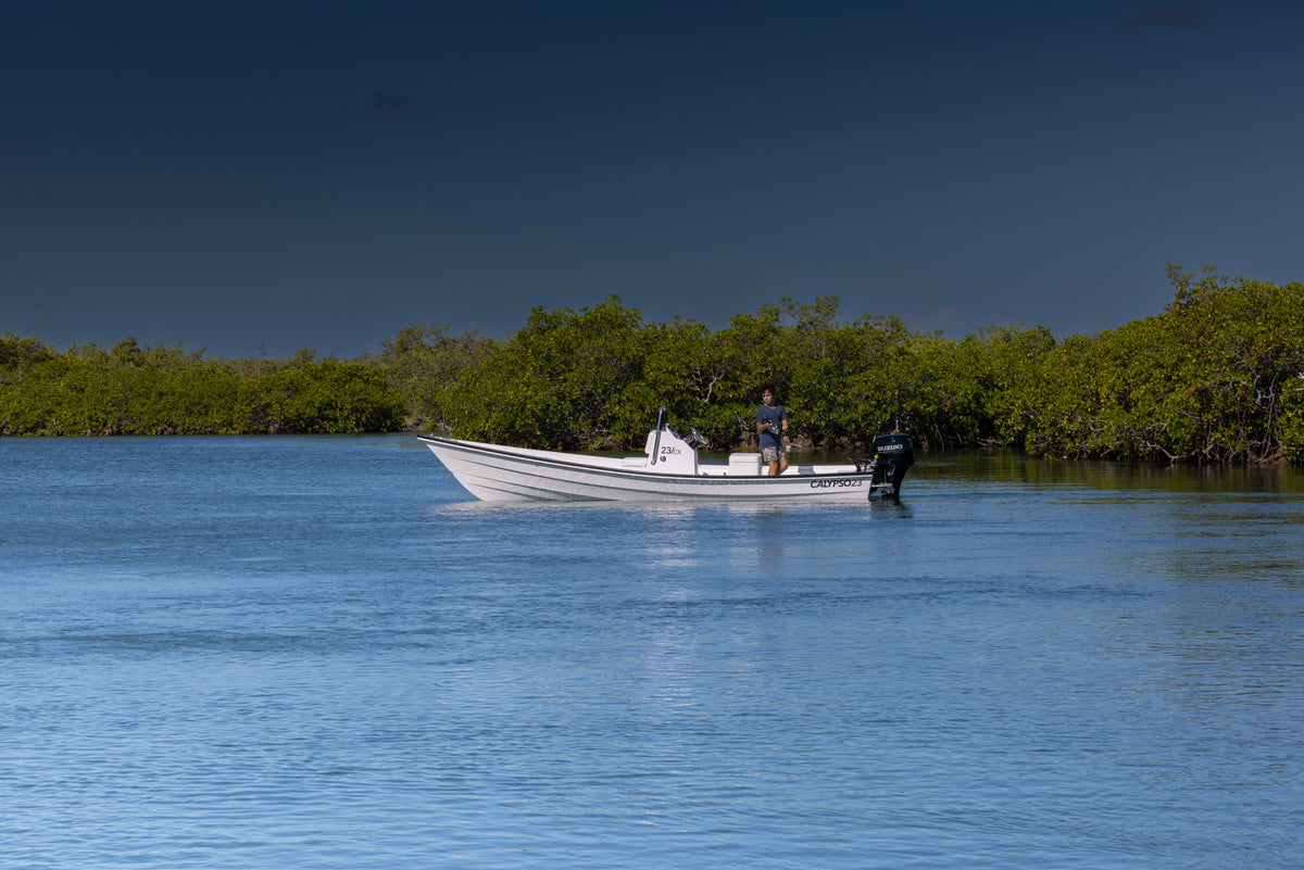 CALYPSO 23cx "Caribe"